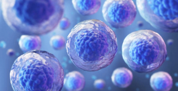 28.º Congresso Europeu de Medicina Perinatal: futuro de aplicações com células estaminais em destaque